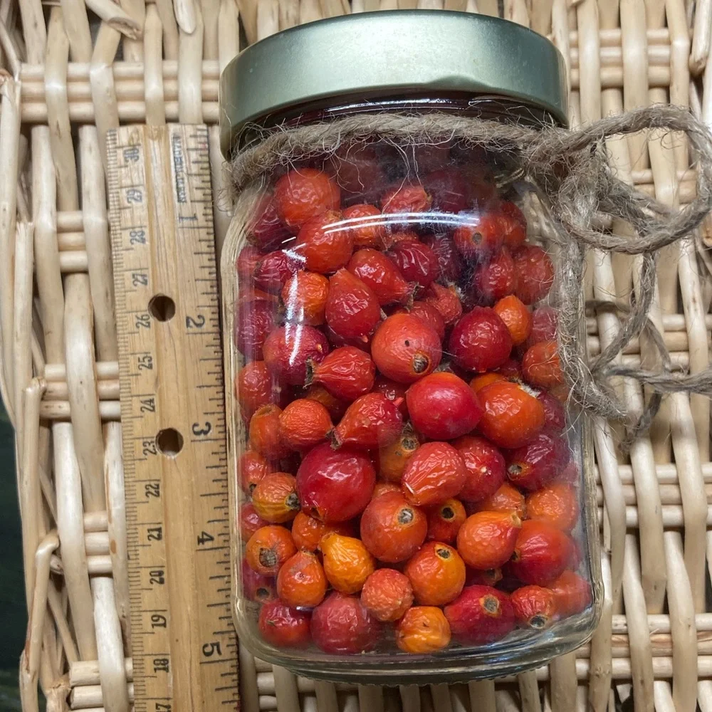 Wild Rose Hips Organic Hand Crafted Bath Soak Gift Jar New